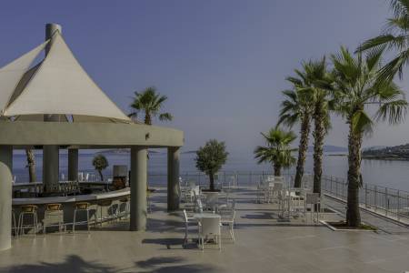 BLUE DREAMS RESORT Bars